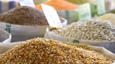 The place of grains and legumes in the food of the people of the Middle East