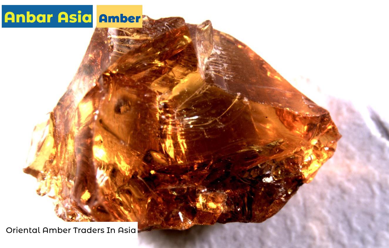 Amber - Oriental Amber Traders In Asia