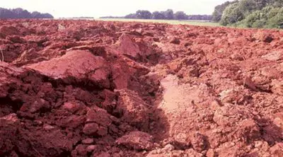 Soil is a combination of excellent minerals and minerals created by weathering and rock destruction