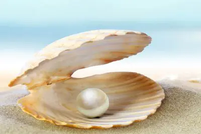 Pearls caught from the shores of the Persian Gulf and is one of the precious stones of the Middle East