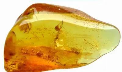Amber is widely used in jewelry due to its special and beautiful color