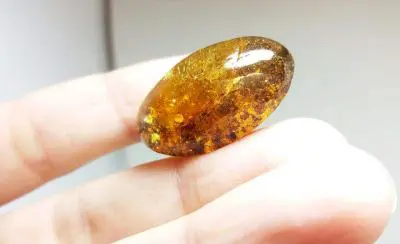 Amber is used to make decorative items as well as jewelry