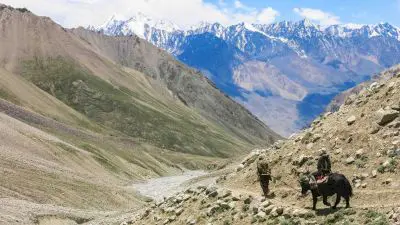 تحتوي جبال أفغانستان على مجموعة واسعة من الثروات الباطنية والمعادن النادرة