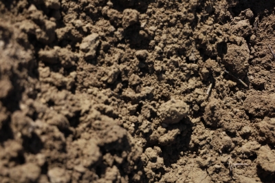کاربردهای خاک رس چیست؟