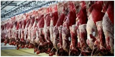 Batı Asya ülkelerinde et tüketimi