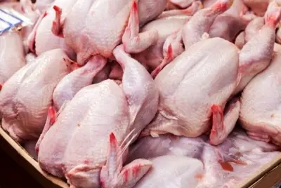ایشیائی عربوں اور مسلمانوں کی خوراک میں پرندوں کے سفید گوشت کا کردار