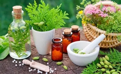 Applications of medicinal plants in modern medicine and traditional medicine