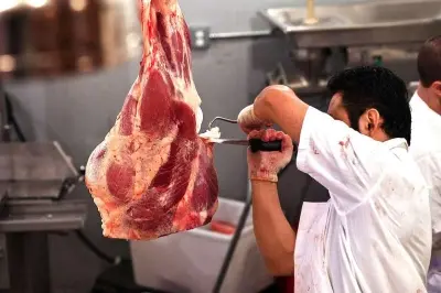 Batı Asya ülkelerinde et üretimi