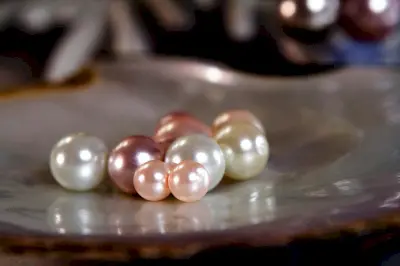 Pearl stone is a gem from ancient times and about 6 thousand years ago, which was used as an ornament by kings and nobles