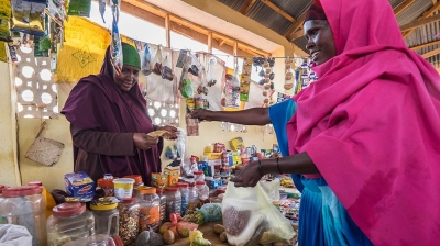 Somali ile ticaret