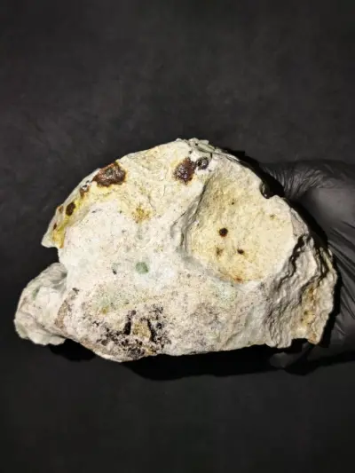 Meteorite